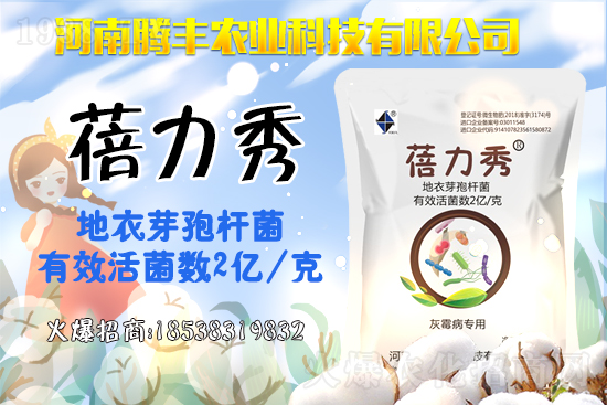 2021-04-19����~�rˎ�r��S�̈�r