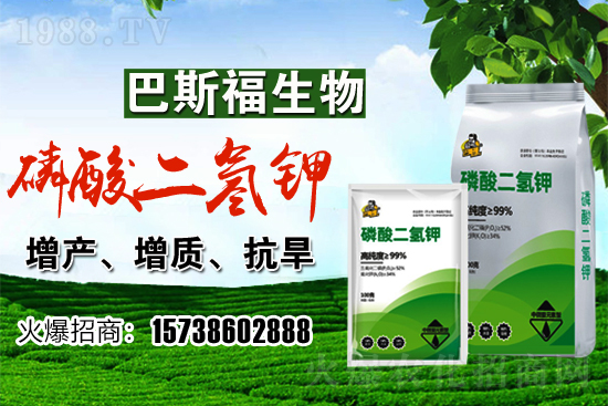 С���r��F(xi��n)�ڶ����Xһ����������߄������