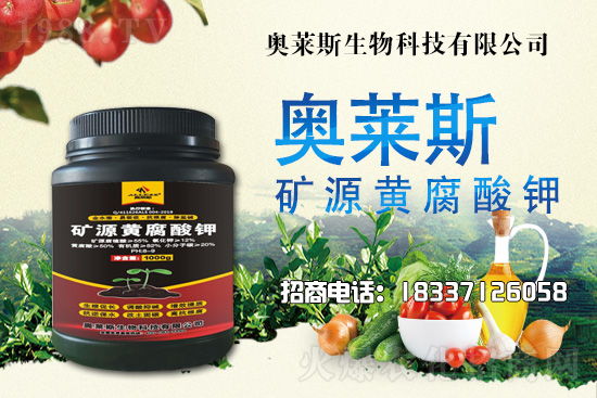 �`֥���a(ch��n)����(ji��)��ʲô�r(sh��)�����`֥���϶�ľ�������༼�g(sh��)��