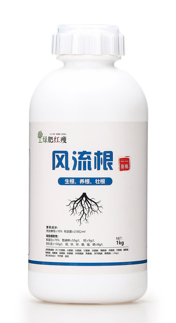 �L(f��ng)�����������B(y��ng)���Ѹ��� �G��5