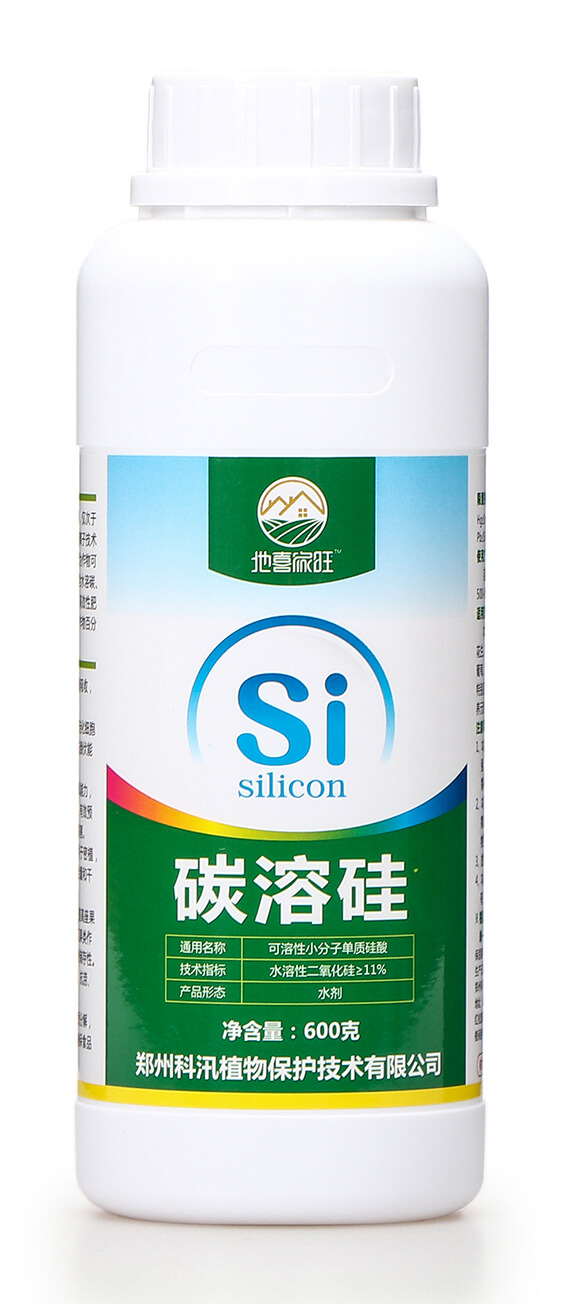 ̼�ܹ�-��ϲ����-��Ѵ5