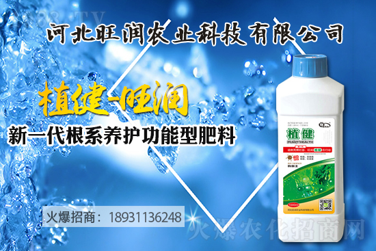 �{ݮ������ô�Nֲ���{ݮ����ķNֲ���޼����ݼ��g(sh��)��