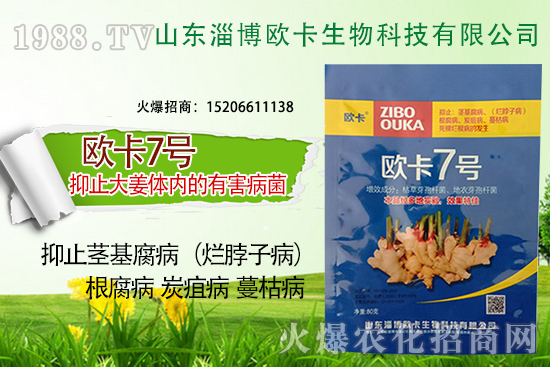 �W�������ٺ�1988.TV������(sh��)�F(xi��n)��I(y��)�v�w����