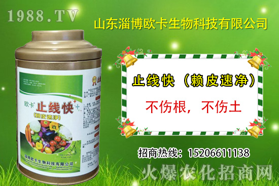 �W�������ٺ�1988.TV������(sh��)�F(xi��n)��I(y��)�v�w����