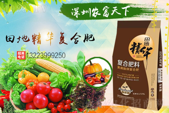 �����������������A���r�������ٺ�1988.TV��(chu��ng)���x����