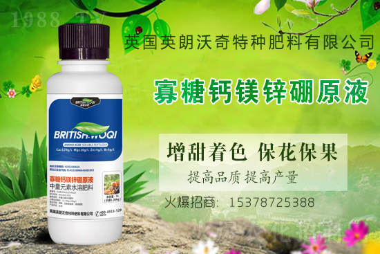 Ӣ������ɹ����s1988.TV���y�ֹ���(chu��ng)��(zh��n)����