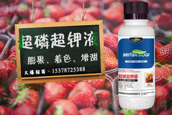 Ӣ������ɹ����s1988.TV���y�ֹ���(chu��ng)��(zh��n)����