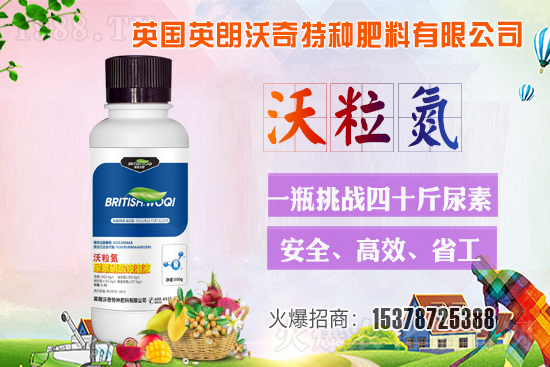 Ӣ������ɹ����s1988.TV���y�ֹ���(chu��ng)��(zh��n)����