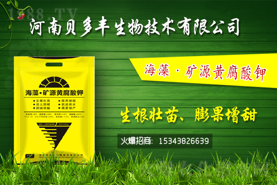 果樹黃化的原因是缺鐵嗎？果樹黃化噴施硫酸亞鐵怎么樣？