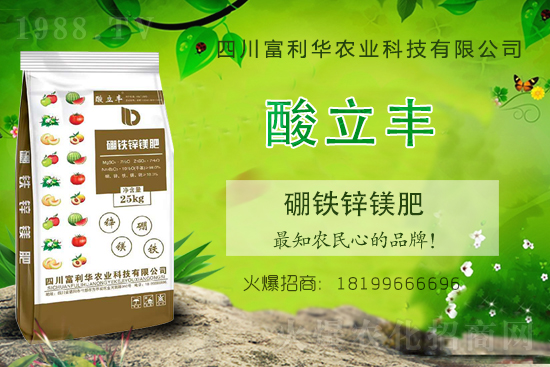 ���ʃr���ϝq��2021��6��18�ջ��ʃr���Ո�