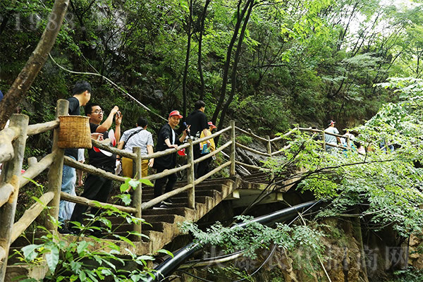 尋夢(mèng)老君山,品道家文化