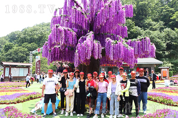 �����𱬾W(w��ng)���Ͼ�ɽ���������������Ї�(gu��)�W(xu��)��(j��ng)��