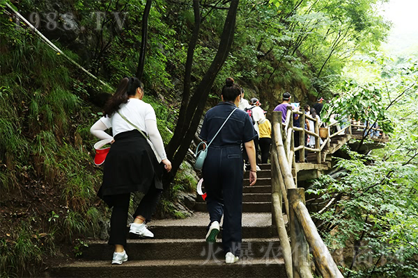 �����е�����