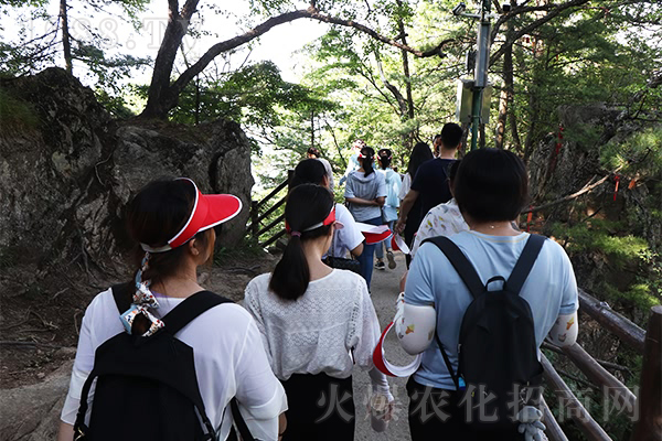 �ʵǸ߷�����ֹ���ң�