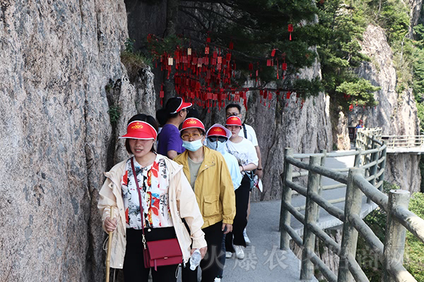 �Ե����g(sh��)���������(ji��n)