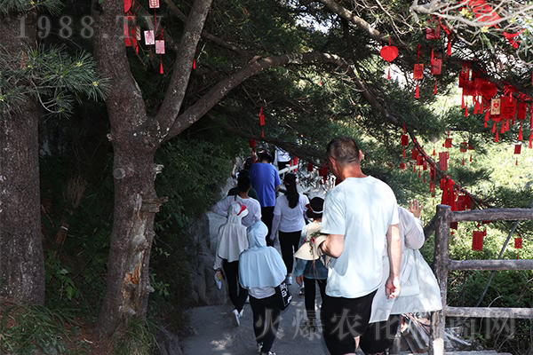 ��Ԋ�箋���ļ�������