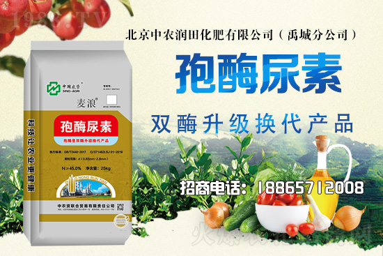 ��������������2021��6��21�������Ј������߄�