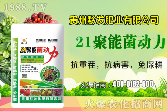黔發(fā)肥業(yè)再度攜手1988.TV，攜手打造招商奇跡！