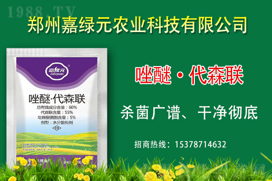 �������������ξGԪ�r(n��ng)�I(y��)�ٺ�1988.TV������(chu��ng)���x����