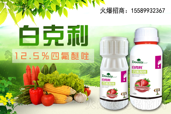 ���|���m(x��)�s1988.TV����(zh��n)�Ժ����P(gu��n)ϵ�������_(t��i)�A��