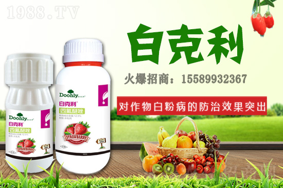 ���|���m(x��)�s1988.TV����(zh��n)�Ժ����P(gu��n)ϵ�������_(t��i)�A��