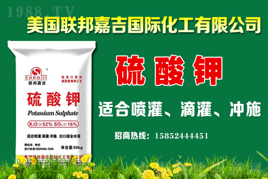 2021��6��4��⛷��Ј��r�������߄� 