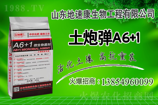    �����P(gu��n)ϵ�����A��ɽ�|���ٿ��c1988.TV�_����ƪ����