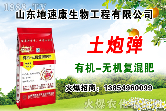    �����P(gu��n)ϵ�����A��ɽ�|���ٿ��c1988.TV�_����ƪ����