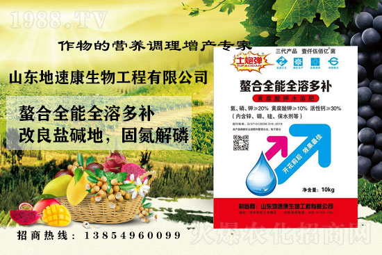    �����P(gu��n)ϵ�����A��ɽ�|���ٿ��c1988.TV�_����ƪ����