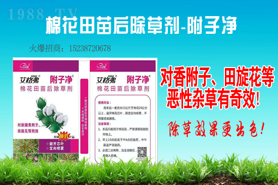 �ݸ�좏����\����2021��7��10�ղݸ�좃r���߄�