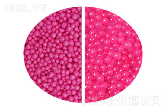 2021��7��12�����؃r�������߄��܈�