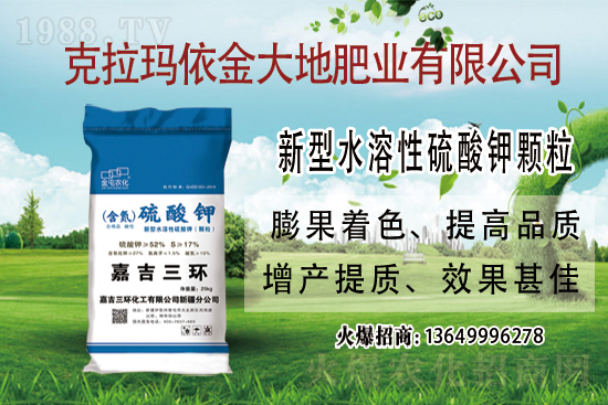 鉀肥市場(chǎng)保持堅(jiān)挺走勢(shì)！今日鉀肥價(jià)格走勢(shì)及交易日評(píng)