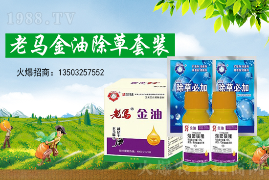 �ݸ�좃r��(chu��ng)�¸���2021��7��15�ղݸ�좃r���߄�