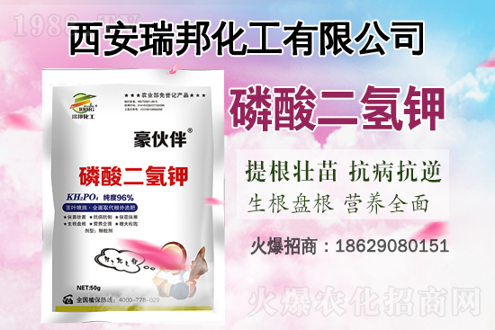 �q�����q����⛷ʃr(ji��)���֝q��������⛷ʃr(ji��)�������߄�(sh��)��7��16�գ�