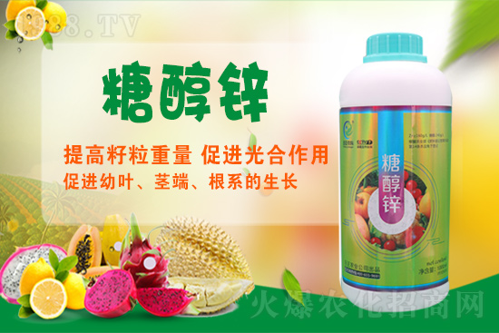 ����a�\�����Ǵ��\���Ǵ��\���ö�����Щ��