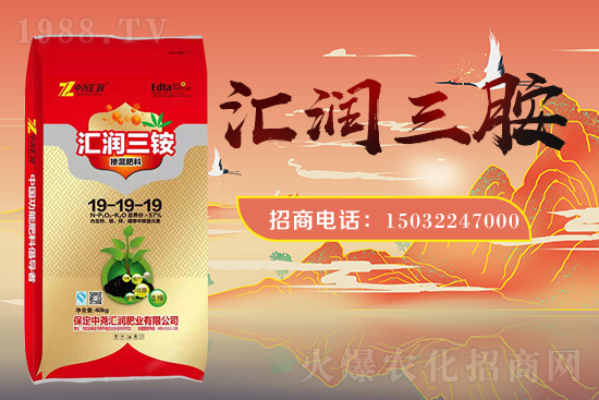 �r(n��ng)���W(w��ng)ϲӭ�����ѣ��Ј�R�����s1988.TV�y�ִ����������E��