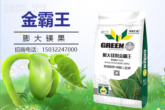 �r(n��ng)���W(w��ng)ϲӭ�����ѣ��Ј�R�����s1988.TV�y�ִ����������E��