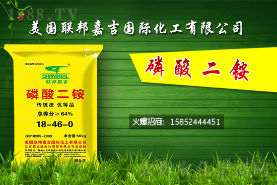 二銨價(jià)格堅(jiān)挺！7月24日國(guó)內(nèi)二銨價(jià)格行情