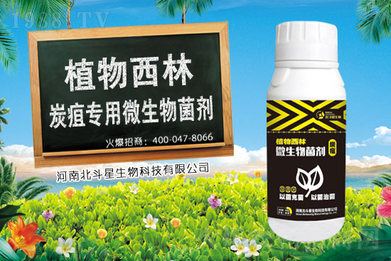 2021��7��29������r(n��ng)ˎ�r(ji��)��S�̈�(b��o)�r(ji��)