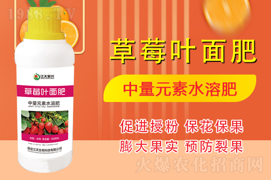 �����l(f��)չ������(chu��ng)δ��(l��i)���������ﺞ�s1988.TV������(chu��ng)���x����