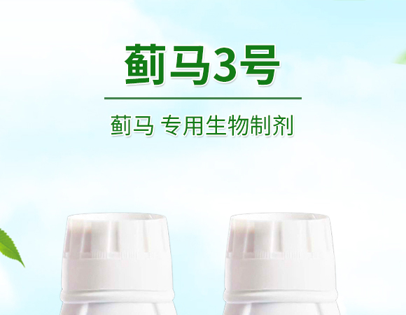 �E�R�����������Ƅ�-�E��3̖-�����S����_01