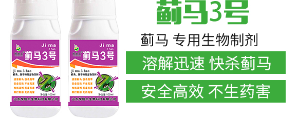 �E�R�����������Ƅ�-�E��3̖-�����S����_03