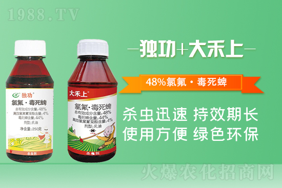 2021��8��30��ϩ��ͪ���݄��r��