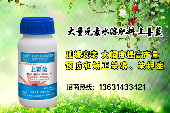 �V���������r�ٶȔy��1988.TV���y�ֹ���(chu��ng)��(zh��n)����