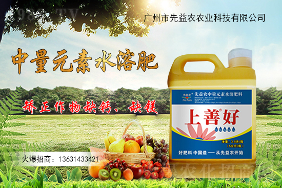 �V���������r�ٶȔy��1988.TV���y�ֹ���(chu��ng)��(zh��n)����