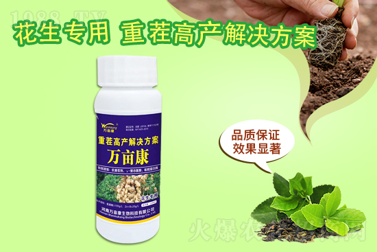 二銨暫穩(wěn)為主,20219月10日磷銨價格行情報價