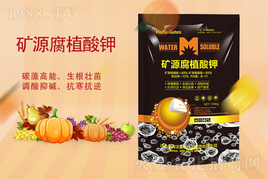 ���@�r(ji��)�񕺷�(w��n)���������@�r(ji��)���Ј����飨9��14�գ�