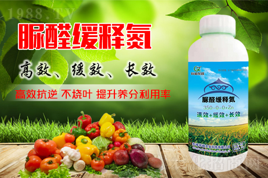 ������؛�����ϼs����ϝq�����؃r(ji��)���(hu��)���׃����