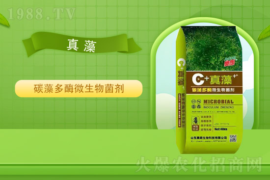 �Ȼ�⛃r��ƽ��(w��n)��2021��9��2�Շ���(n��i)⛷ʃr���߄�