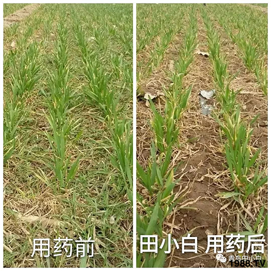 С���s������(ji��)��(ji��)�����E�ɞģ���ô�k��С�����݄���ô�x